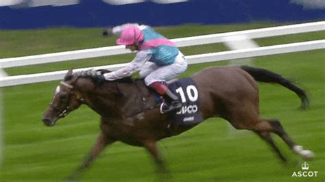 horse racing gif|Horse Races GIFs .